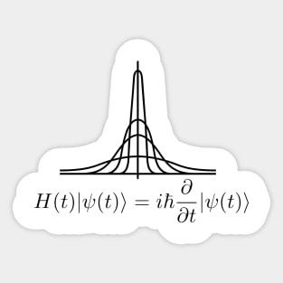 Schroedinger's Equation Sticker